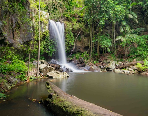 Things to do in Gold Coast