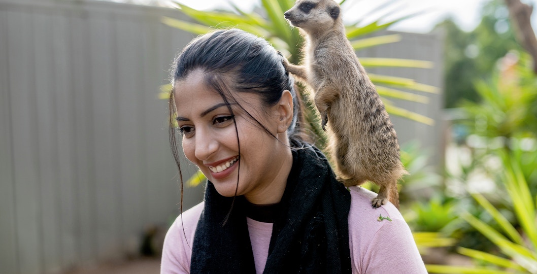 Meerkat on a woman at Ballarat Wildlife Park in Melbourne