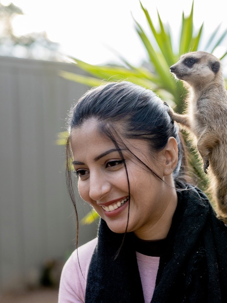Meerkat perched on a woman's shoulder at Ballarat Wildlife Park.