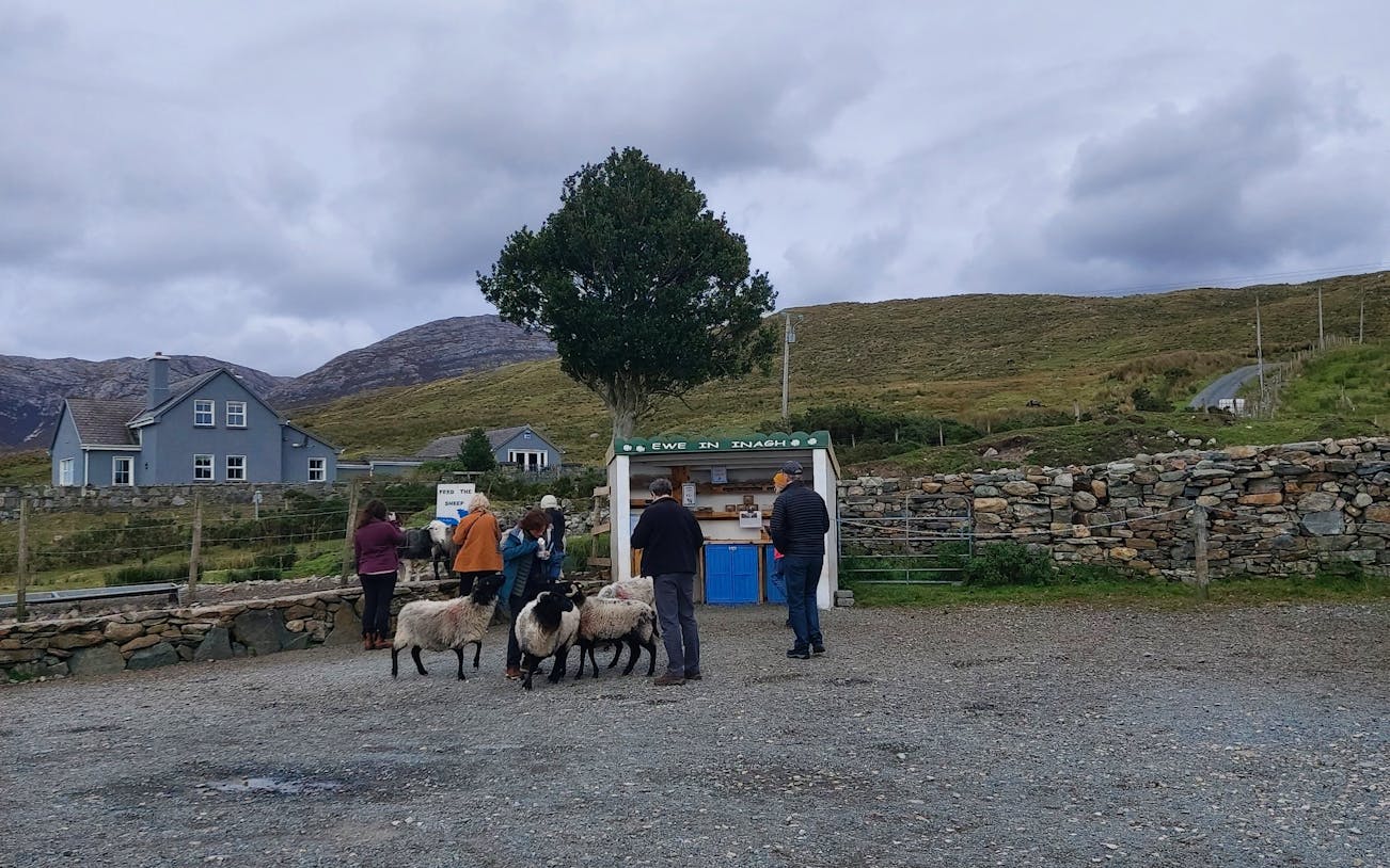 connemara guided day tour with choice of 3-hour stop at connemara national park or kylemore abbey and scenic photo stops-4