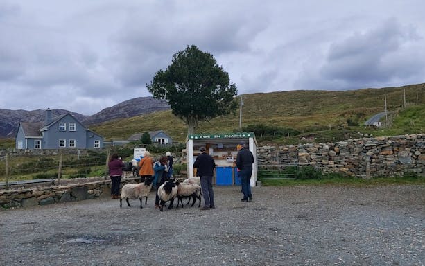 connemara guided day tour with choice of 3-hour stop at connemara national park or kylemore abbey and scenic photo stops-4