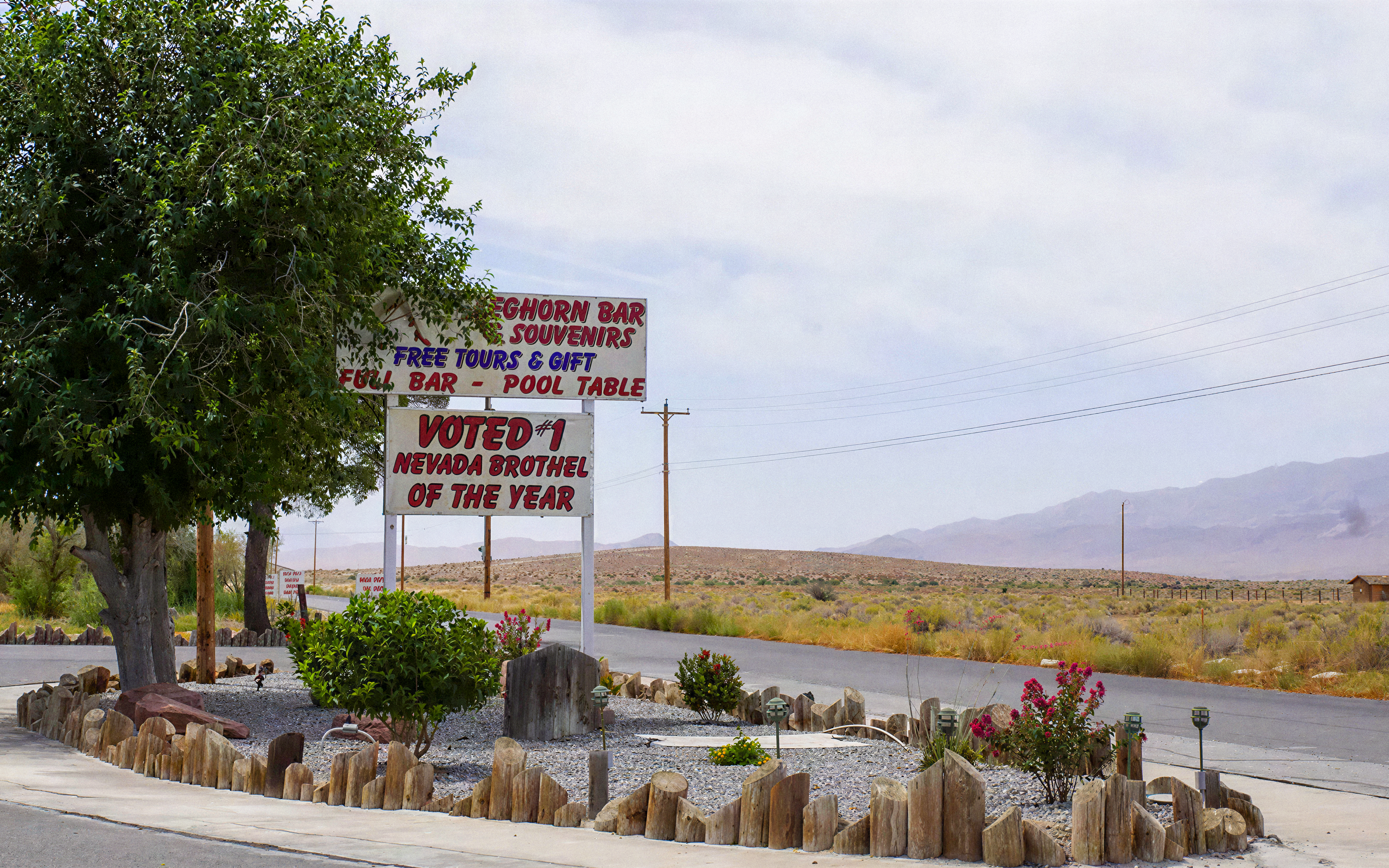 Sign for Chicken Ranch Brothel in Nevada, offering tours and bar amenities.