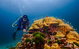 Scuba diver exploring coral reef with fish at Racha Island, Phuket.