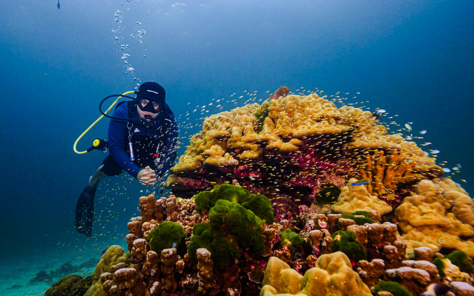 From Phuket: Racha Island Beginner Scuba Diving with 2 Dives