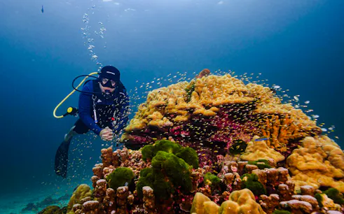 Scuba diver exploring coral reef with fish at Racha Island, Phuket.
