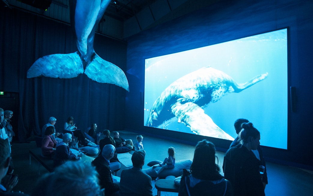Visitors watching whale exhibit at Whales Museum, Iceland.
