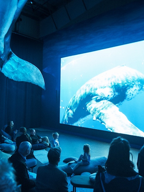 Visitors watching whale exhibit at Whales Museum, Iceland.