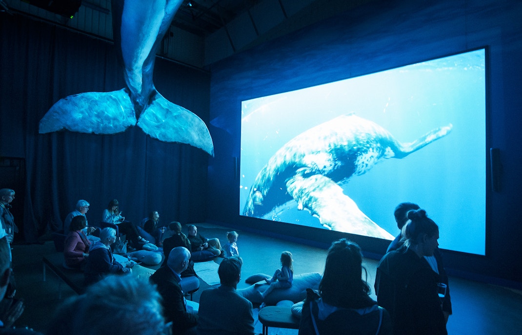 Fin Whale Theatre at Whales of Iceland Museum