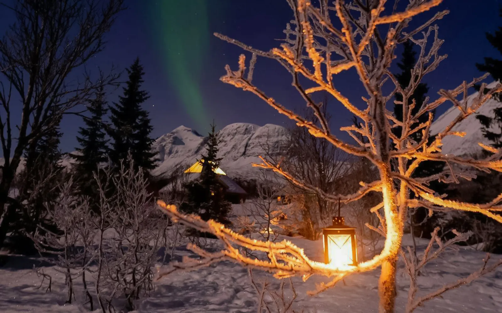 Northern Lights over snowy landscape with lantern-lit trees in Tromsø.