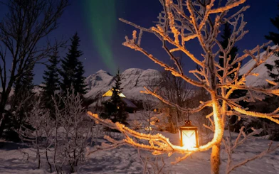 Northern Lights over snowy landscape with lantern-lit trees in Tromsø.