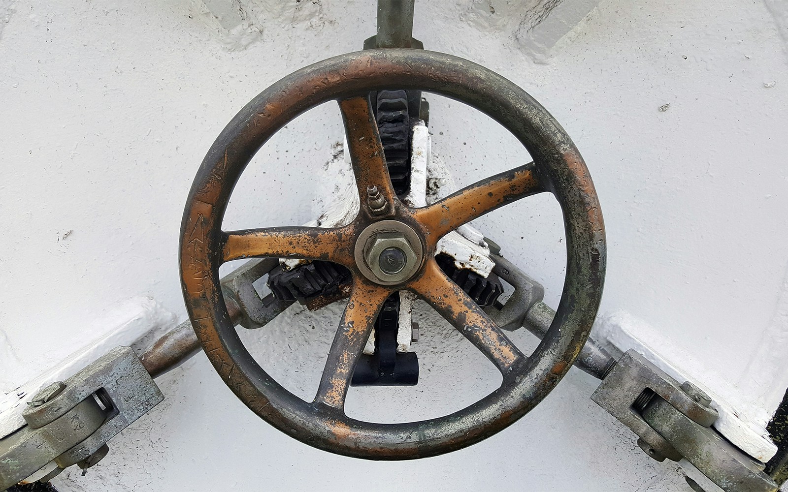 Habitat: East Atlantic (Liberty shipwreck)