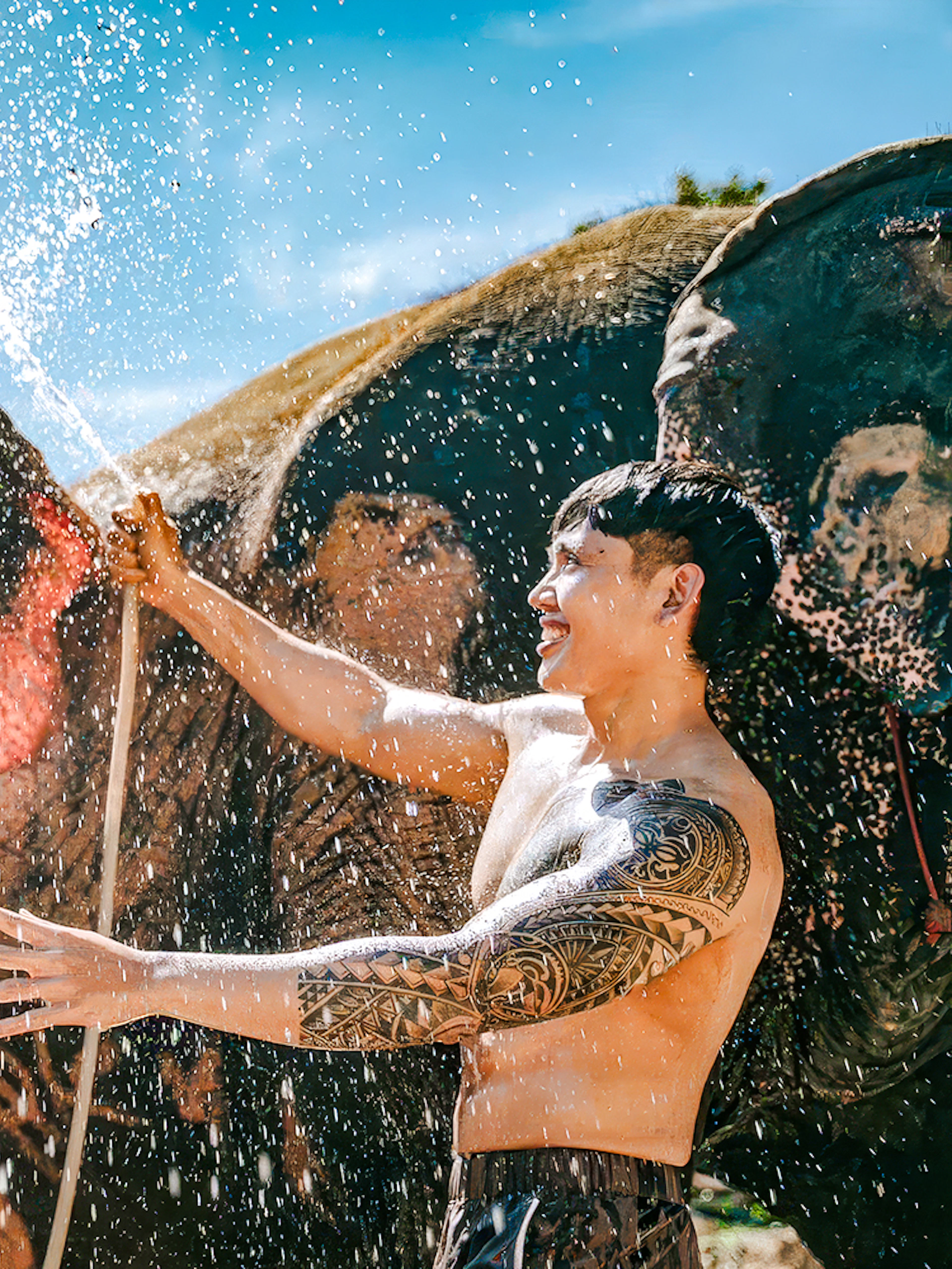 Man bathing elephant at Phuket Elephant Care, Thailand.