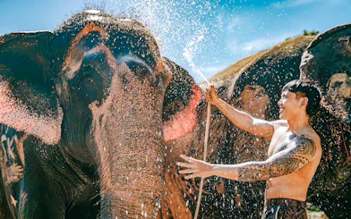 Man bathing elephant at Phuket Elephant Care, Thailand.