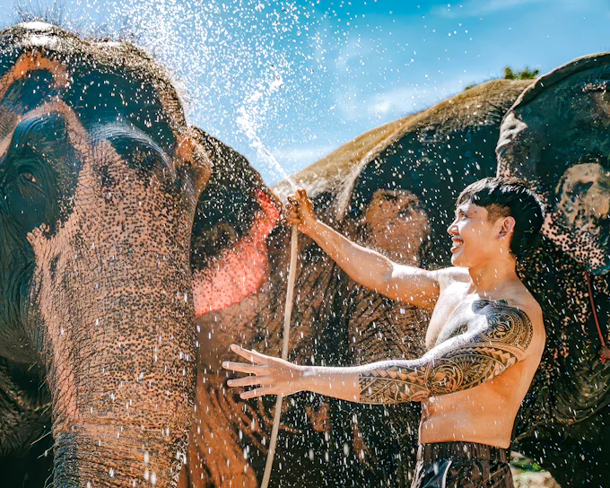 Phuket Elephant Care: Feed, Shower & Mud Spa Guided Tours with Optional Transfers