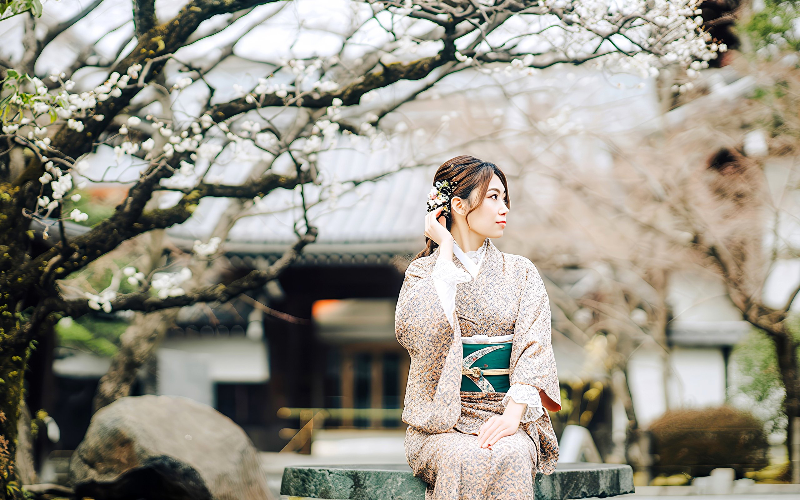 Japanese woman in kimono sitting under plum blossoms in Kyoto.