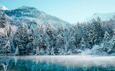Snow-covered trees and mountains reflected in a serene lake near Chena Hot Springs.