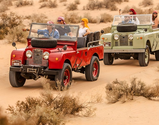 Private Dinner at Desert Safari