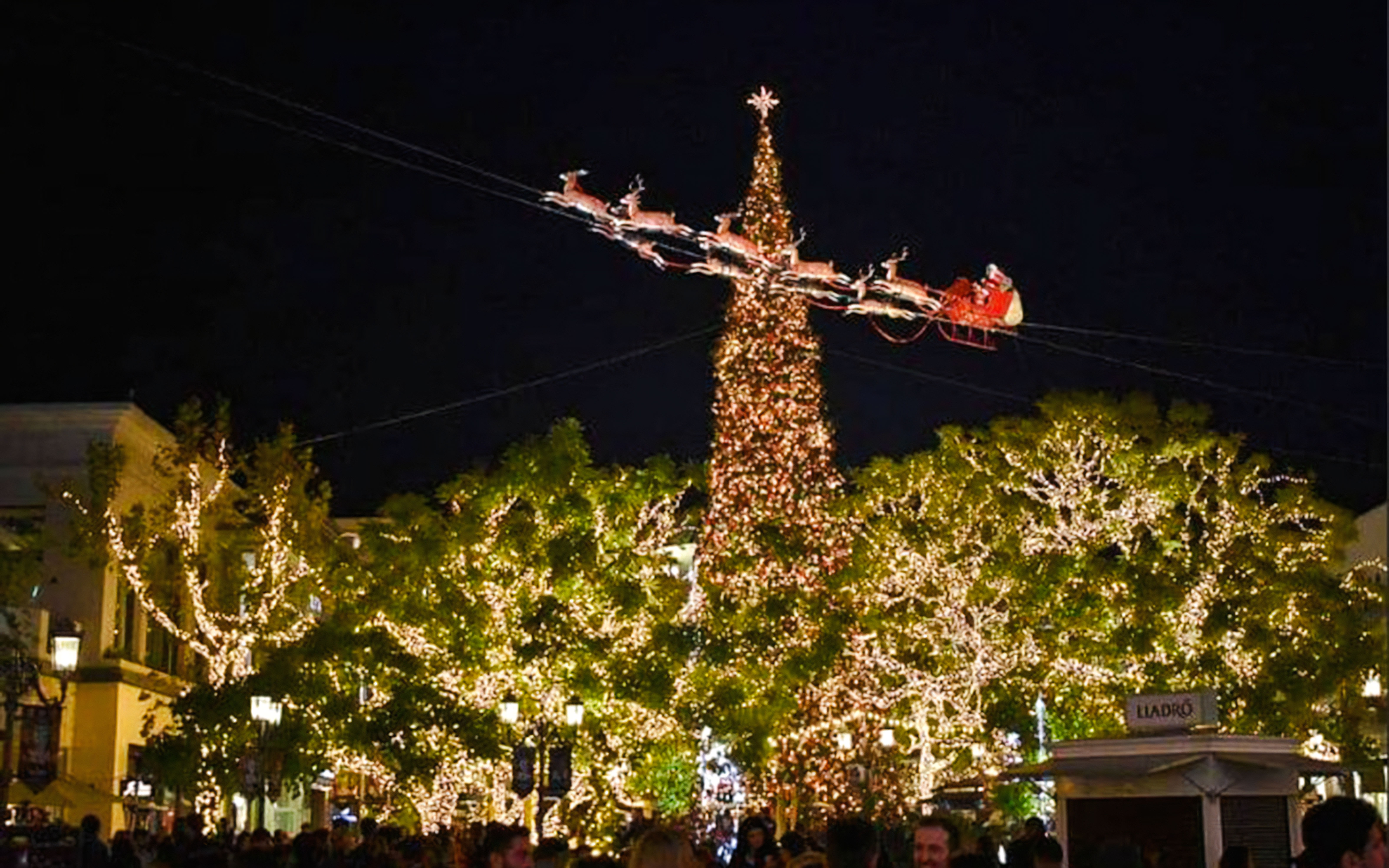 Santa's sleigh flying over a lit Christmas tree at night in the Grove.