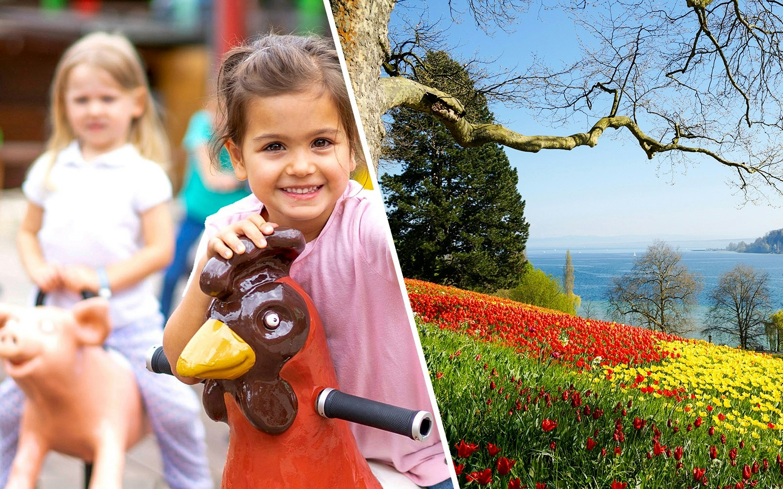 Children playing at Ravensburger Spieleland and vibrant tulip fields on Mainau Island, Lake Constance.