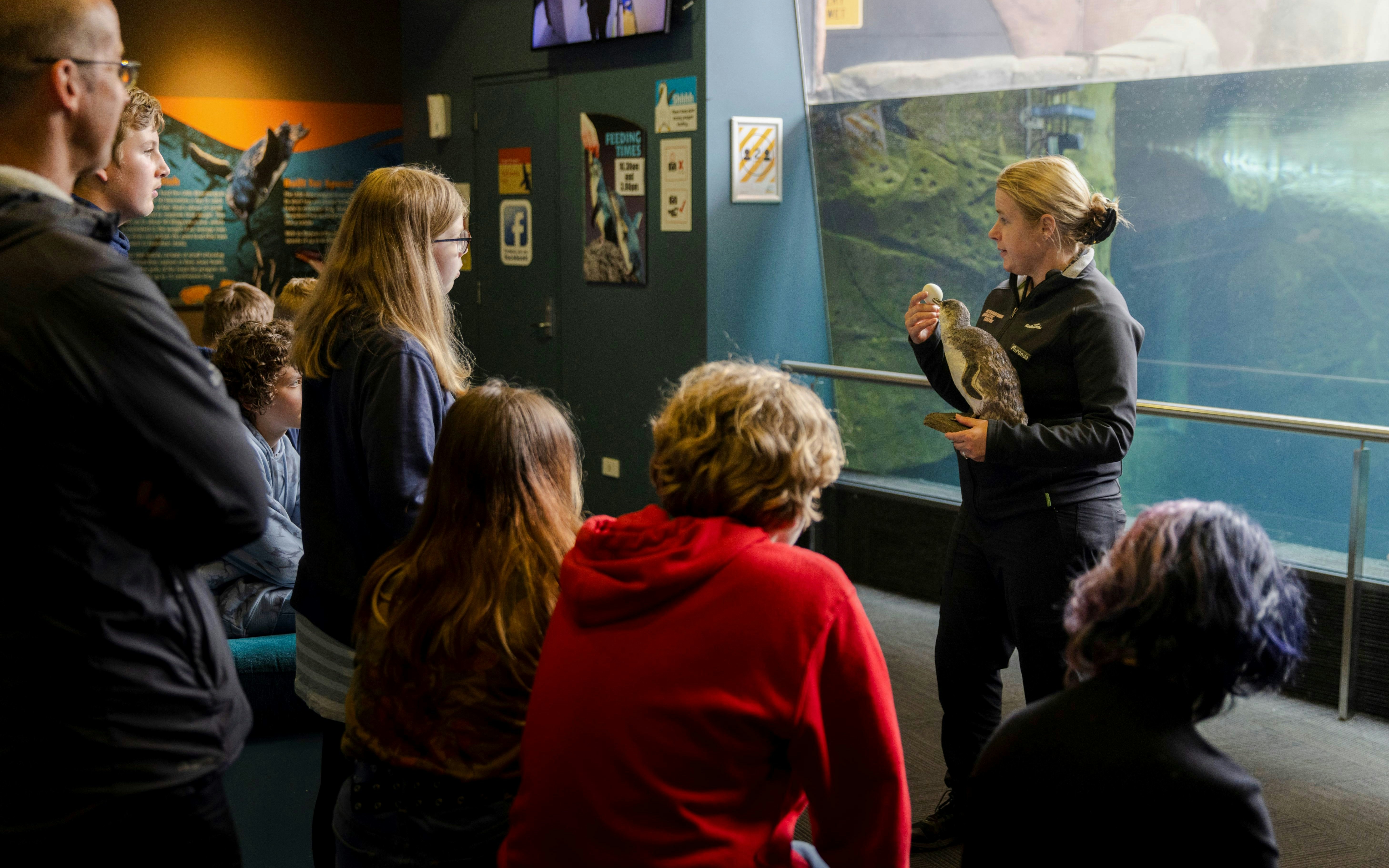 Trainer presenting penguin to visitors at International Antarctic Centre, Christchurch, New Zealand.
