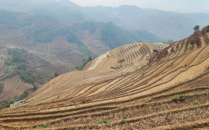 Mu Cang Chai rice terraces with hills and distant village in Vietnam.