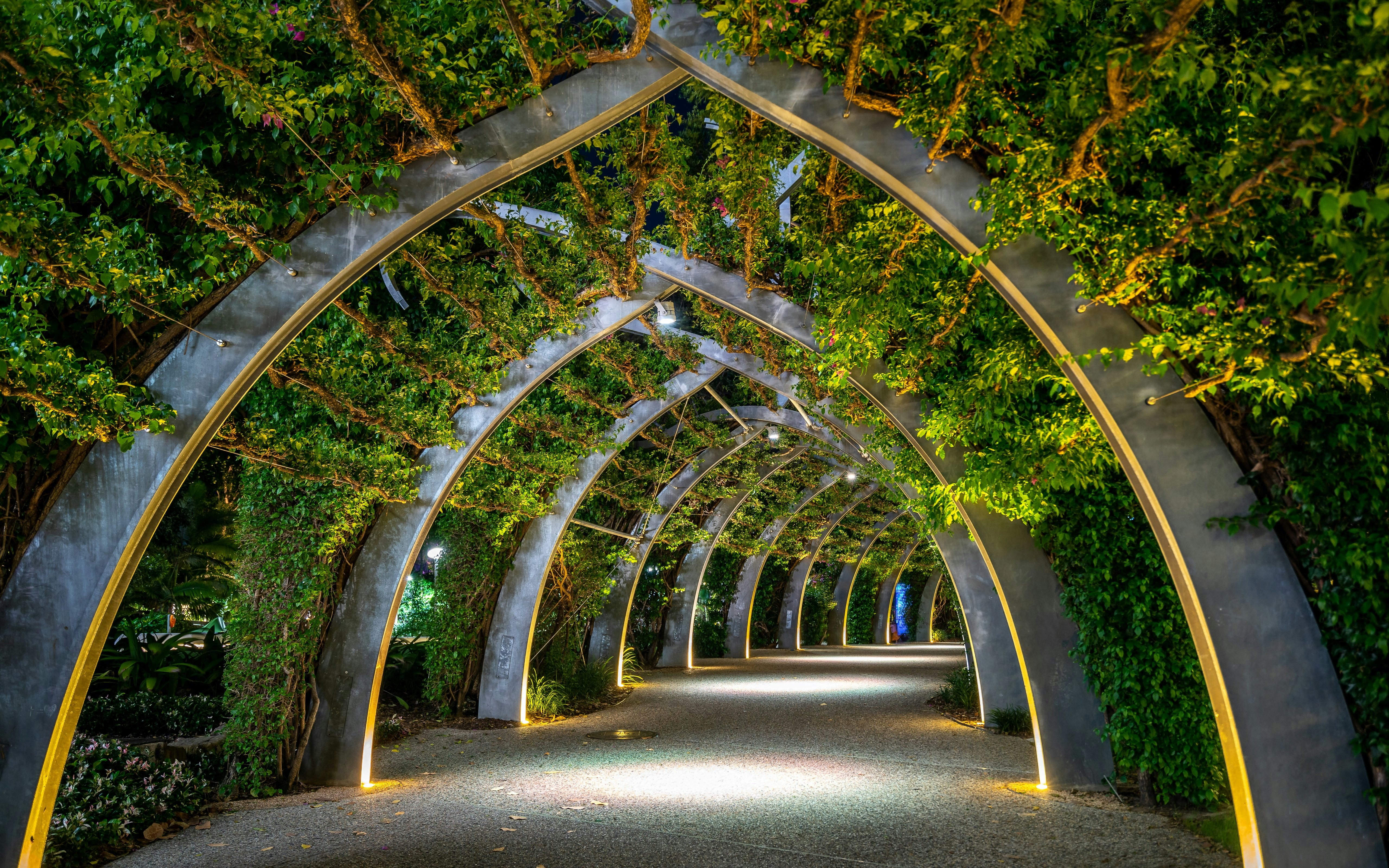 Brisbane Arbour walk located in the picturesque Southbank parklands