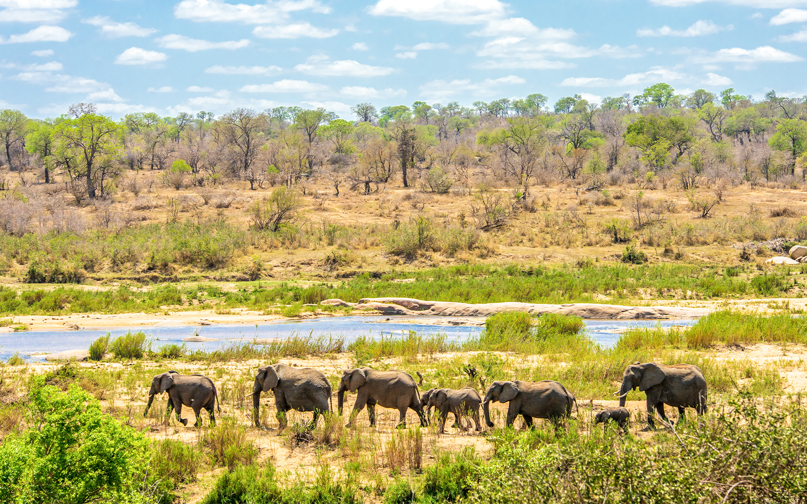 Kruger National Park, South Africa