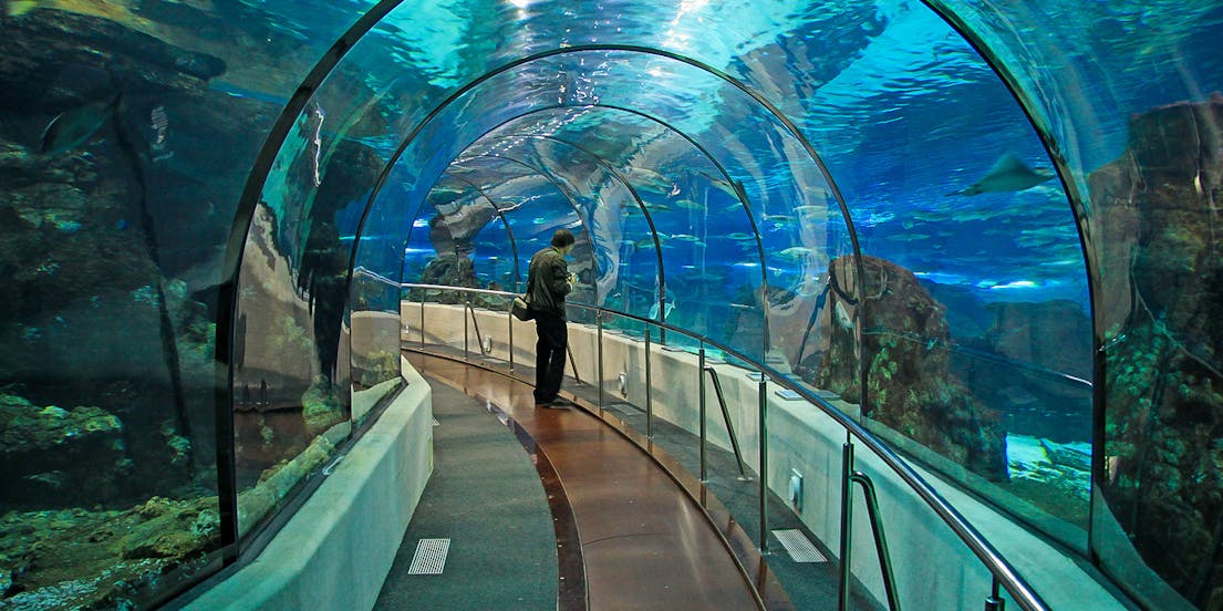 Acquario di Barcellona