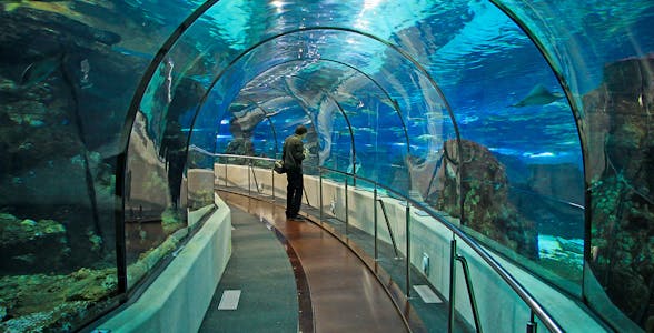 Barcelona Aquarium Tickets