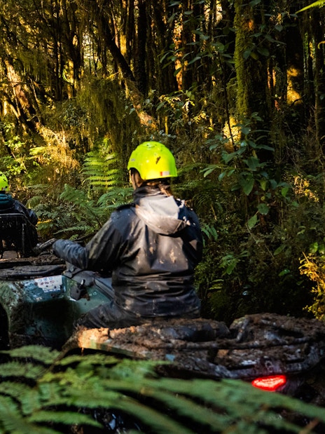 Quad biking through forest trail at Franz Josef, New Zealand.