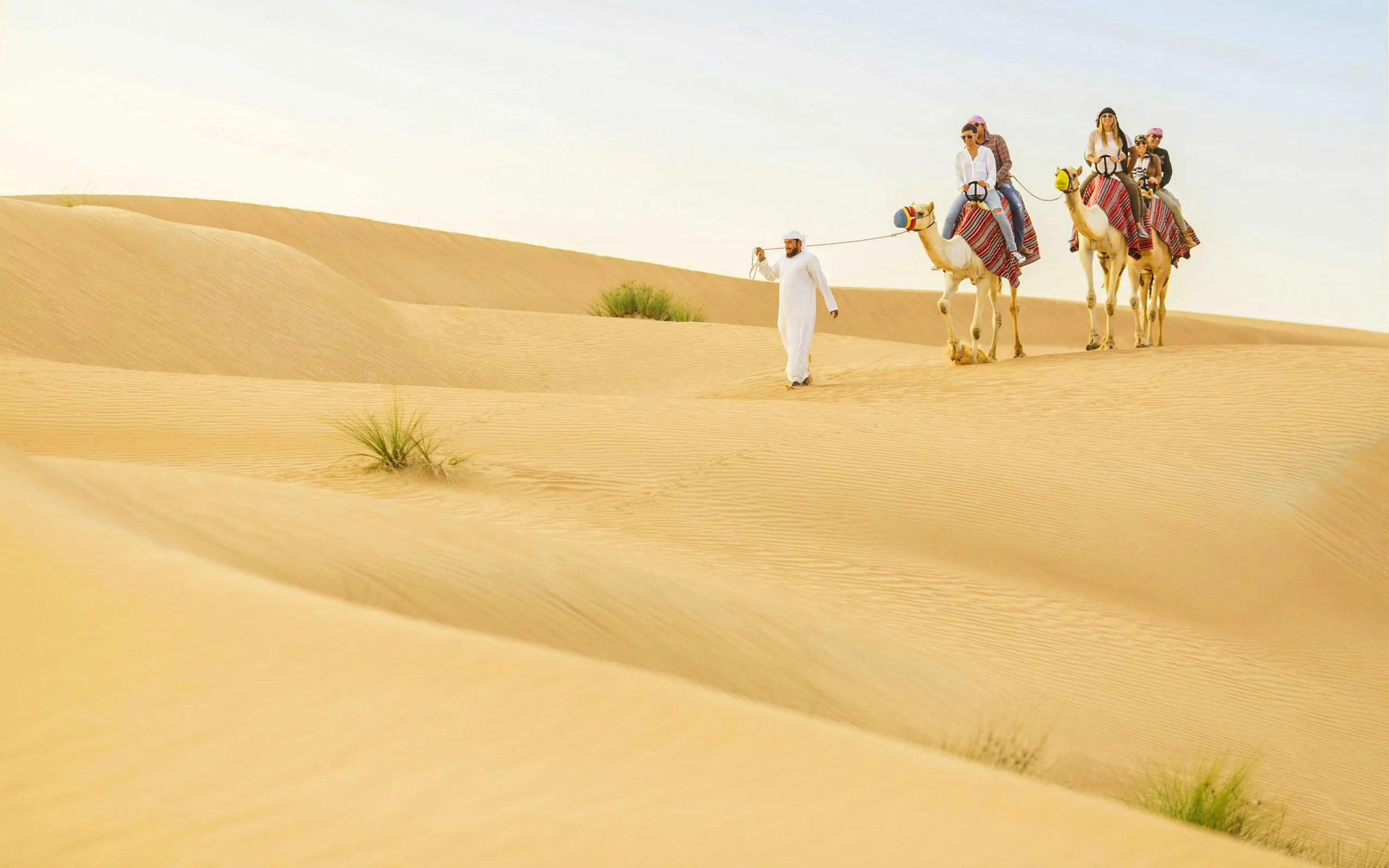 Camel ride through Dubai desert dunes during safari tour.