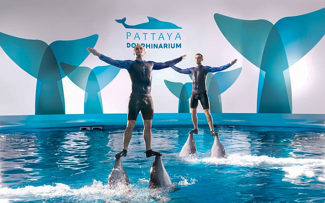 Trainers performing on dolphins at Pattaya Dolphinarium, Thailand.