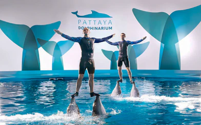 Trainers performing on dolphins at Pattaya Dolphinarium, Thailand.