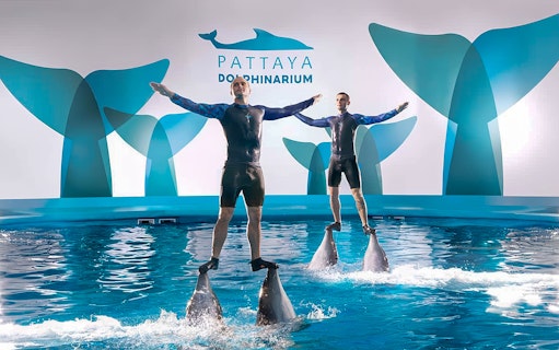 Trainers performing on dolphins at Pattaya Dolphinarium, Thailand.