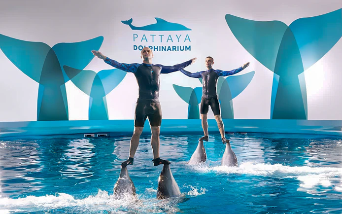 Trainers performing on dolphins at Pattaya Dolphinarium, Thailand.
