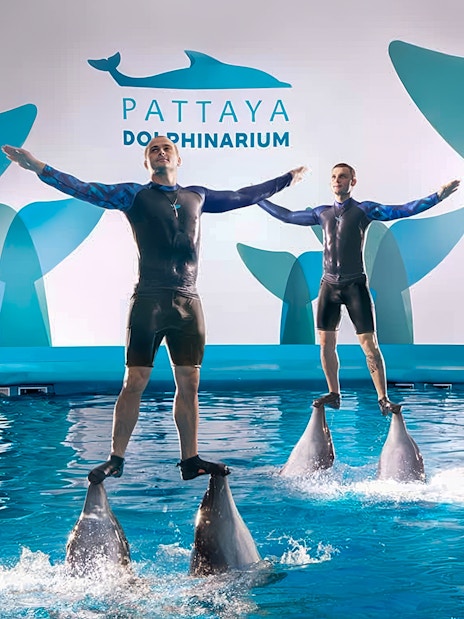 Trainers performing on dolphins at Pattaya Dolphinarium, Thailand.