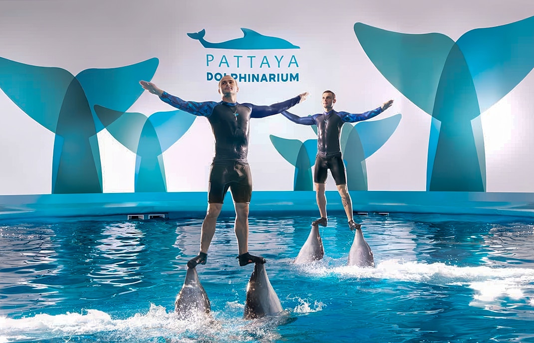 Dolphinarium Pattaya