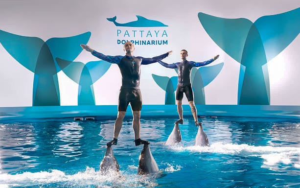Trainers performing on dolphins at Pattaya Dolphinarium, Thailand.