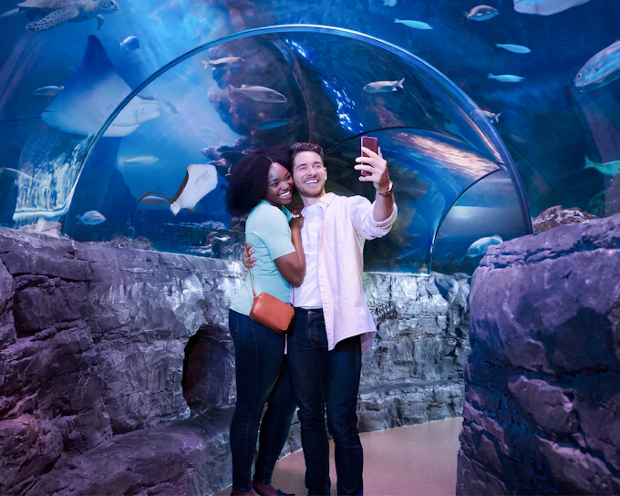 SEA LIFE New Jersey Admission Tickets (Product 52490)