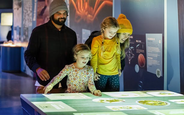 Family exploring interactive exhibit at The Nobbies Centre, Antarctic Journey.