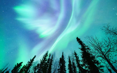 Northern Lights illuminating the night sky over a forest in Alaska.
