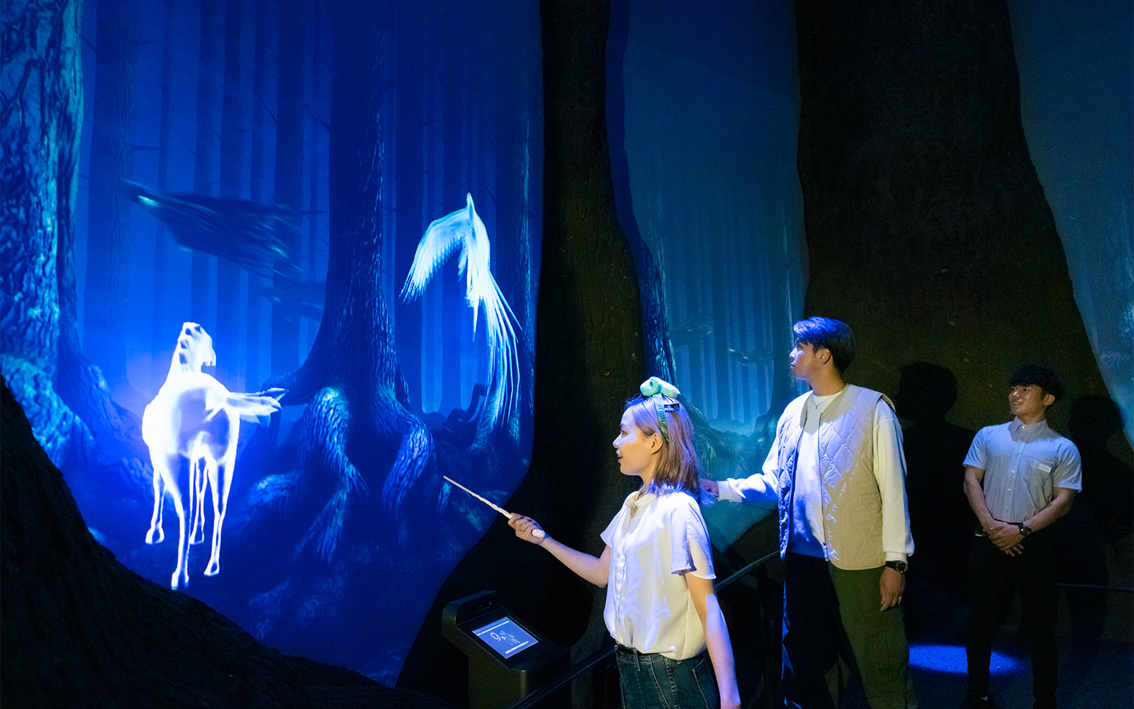 Uncover movie magic at warner bros. studio