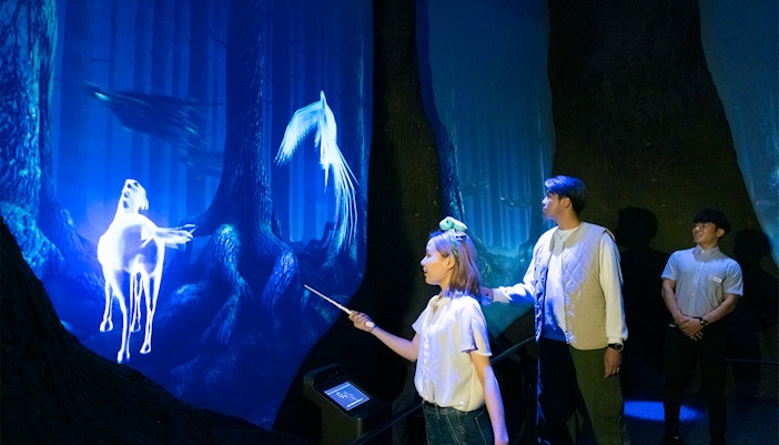 Uncover movie magic at warner bros. studio