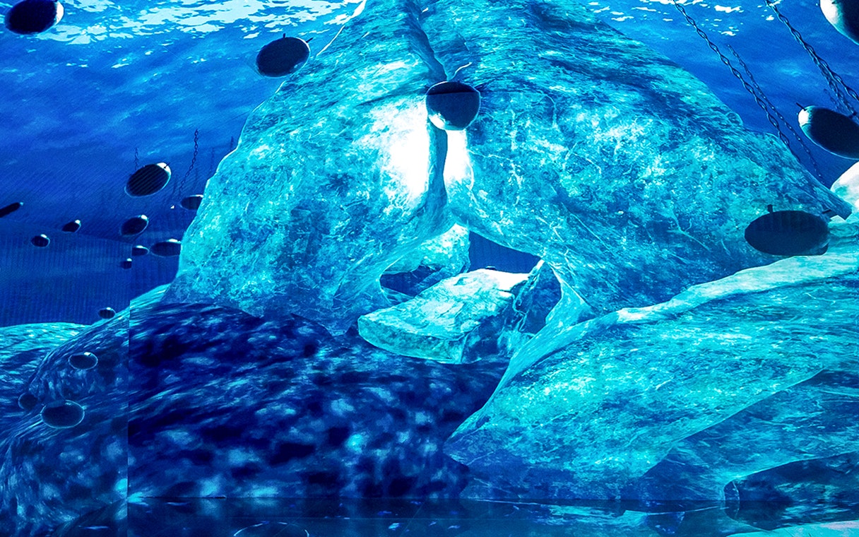 Underwater-themed digital art installation at Istanbul Digital Experience Museum.