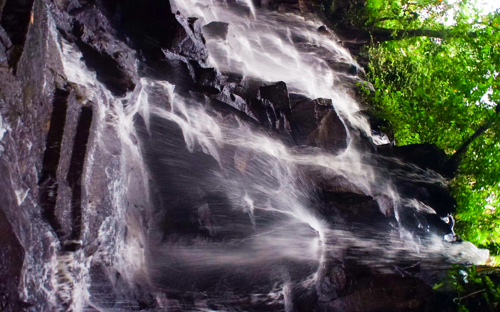 Ubud Private Tour: Tibumana and Kanto Lampo Waterfalls, Tirta Empul Water Temple, and Tegalalang Rice Terraces Image 3