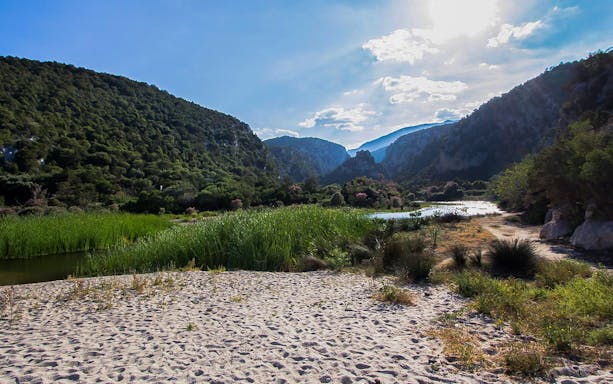 Pathway through lush valley leading to Cala Luna beach, Sardinia.