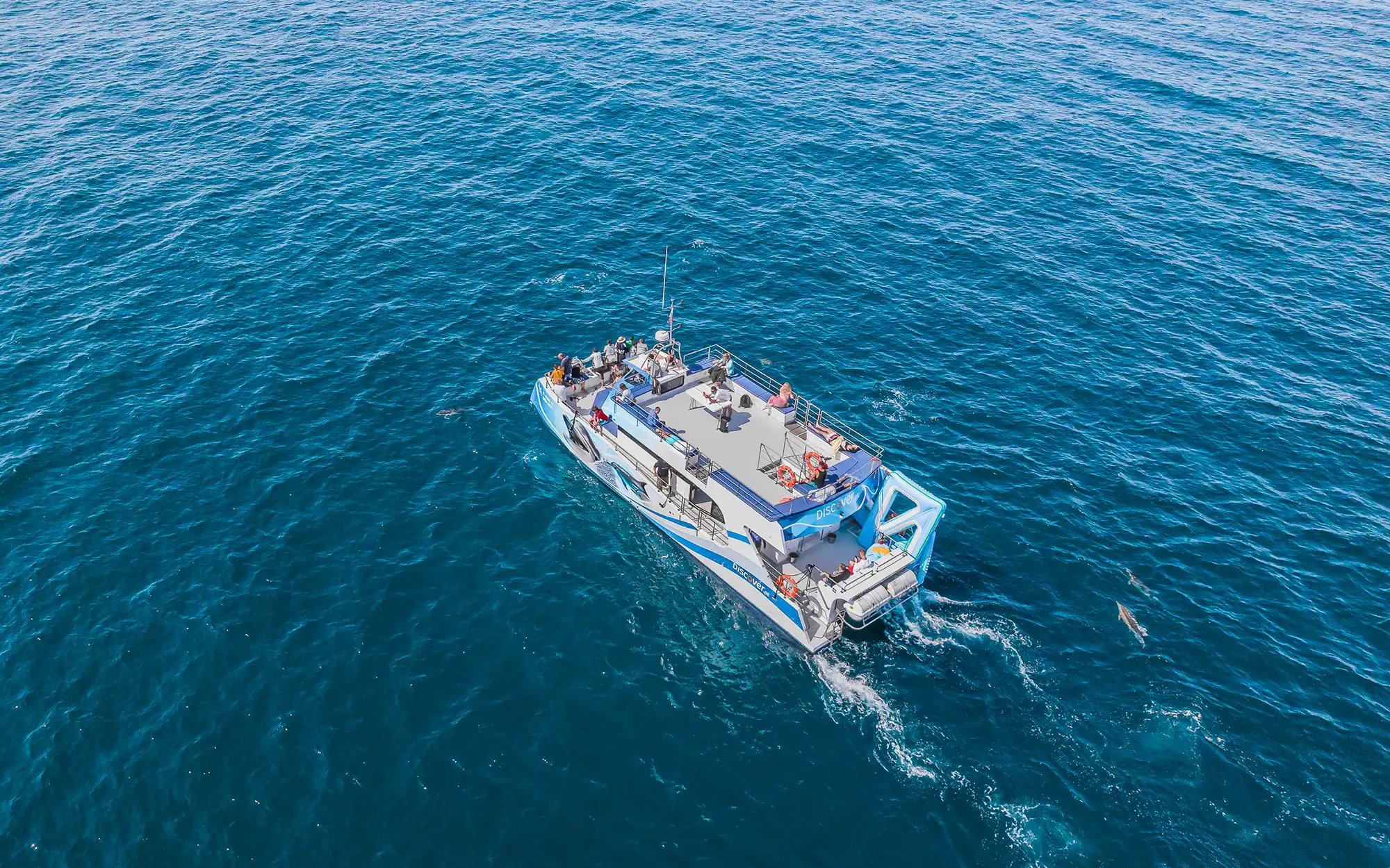 Tourists on a catamaran during Benagil Caves and dolphin watching tour in Algarve, Portugal.