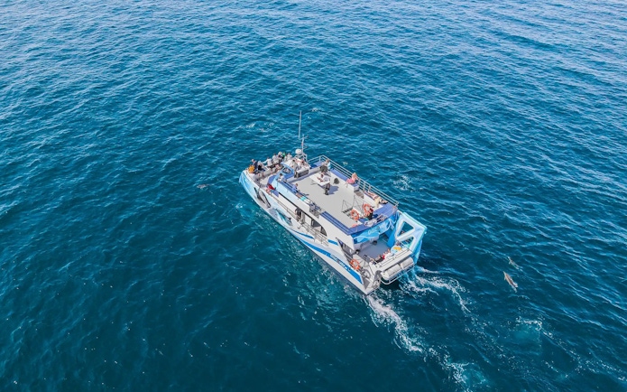 Tourists on a catamaran during Benagil Caves and dolphin watching tour in Algarve, Portugal.