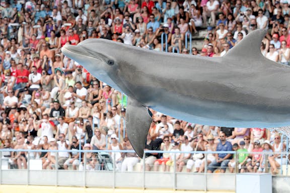 skip-the-line tickets to marineland of antibes-5