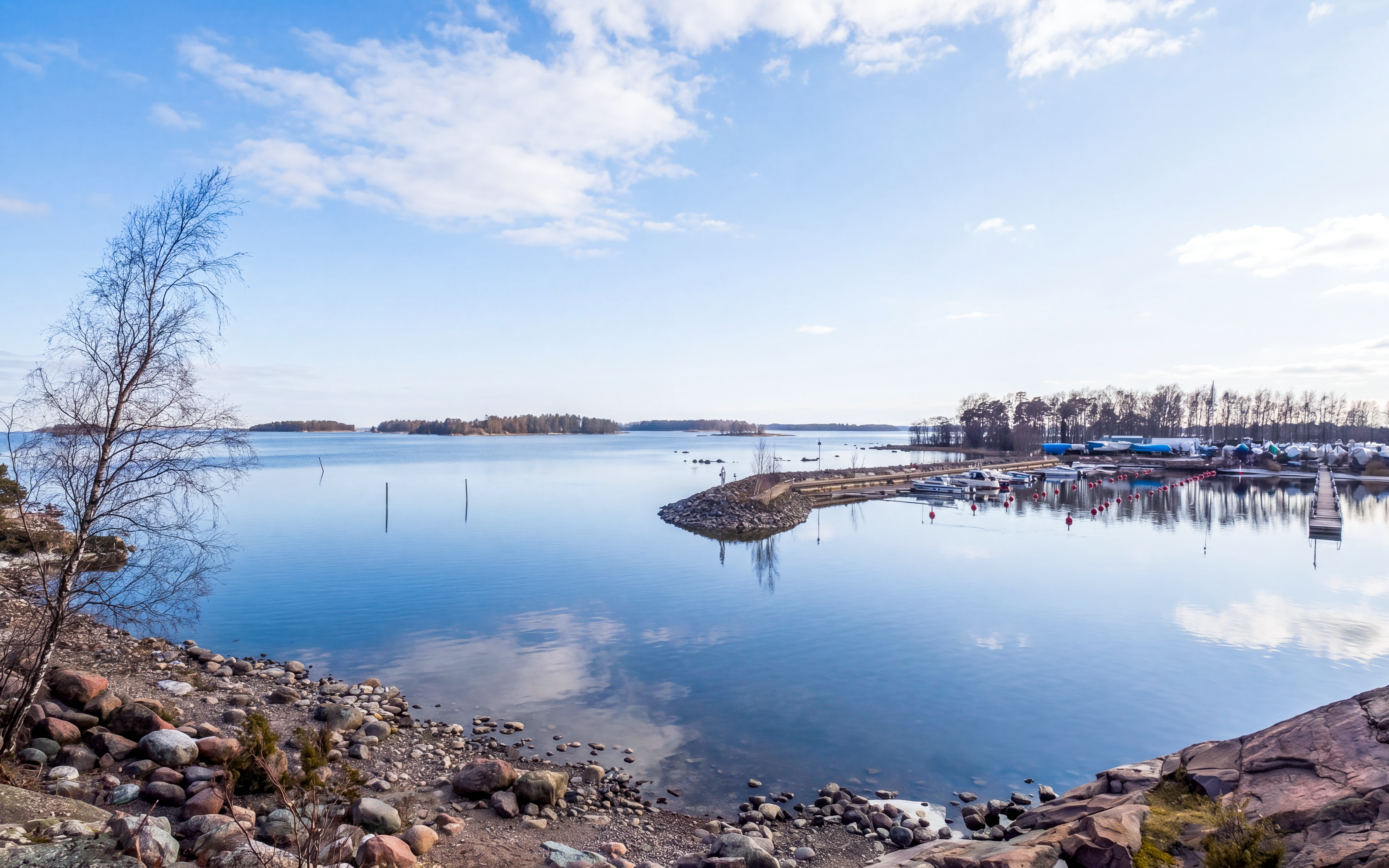 Koivusaari